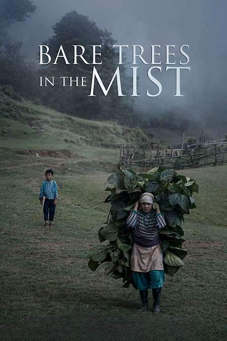 Bare Trees in the Mist